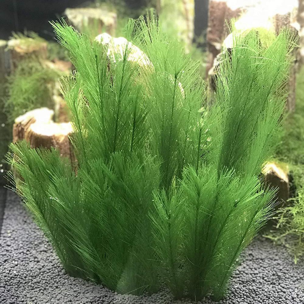 Aquarium Plant Live - 1/3 шт. 28/40 см аквариум искусственная
