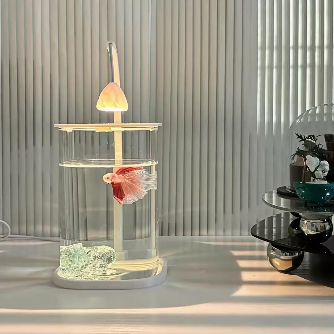 Planted Aquarium Betta - 360 ° Панорамный прозрачный настольный аквариум-террариум