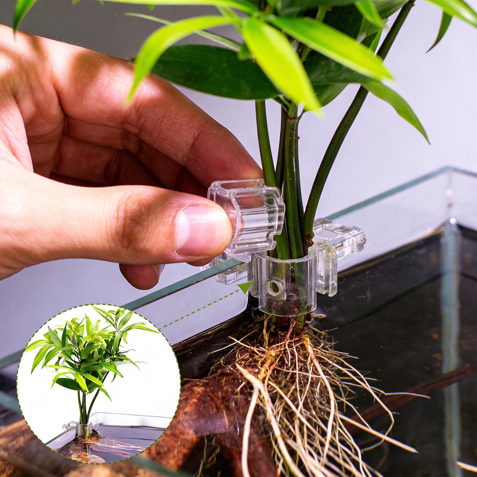 Aquarium Plant Live - Набор из 6 прозрачных подставок для