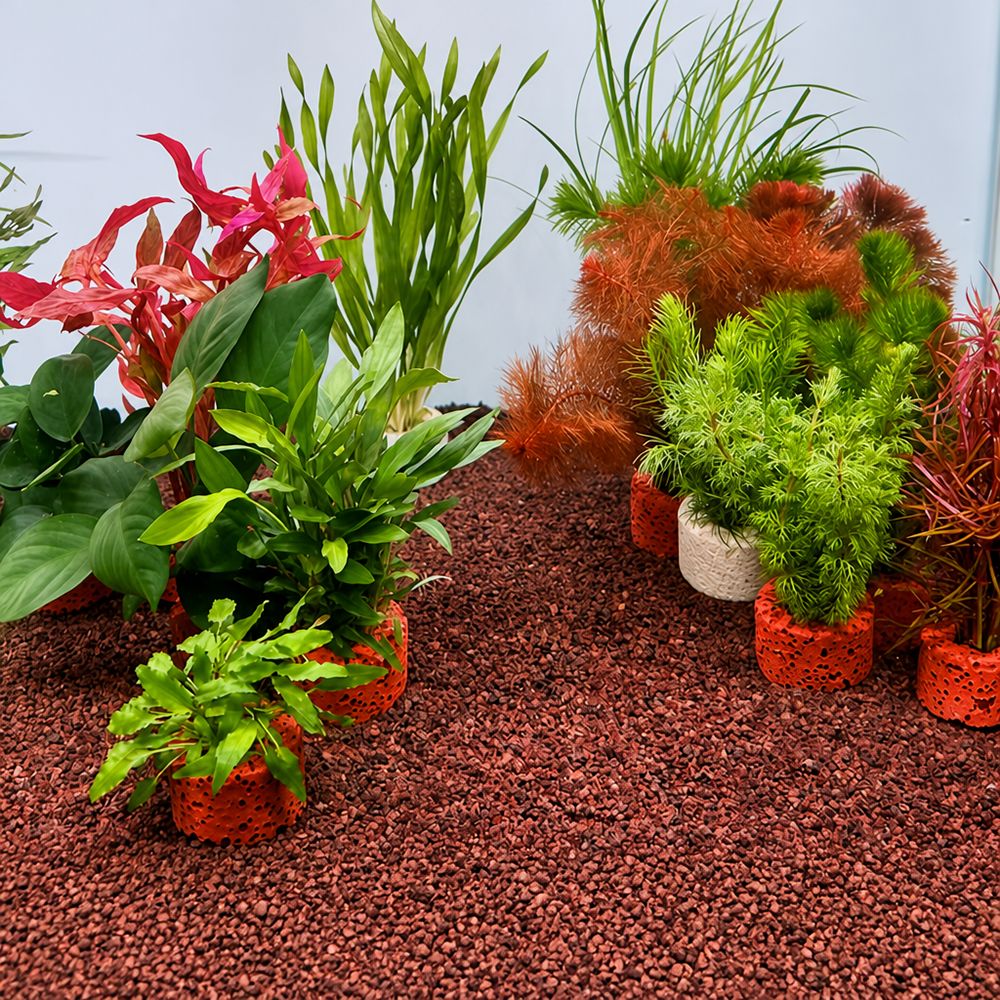 Planted Aquarium Pictures - 10 шт. утяжеленных колец для фиксации