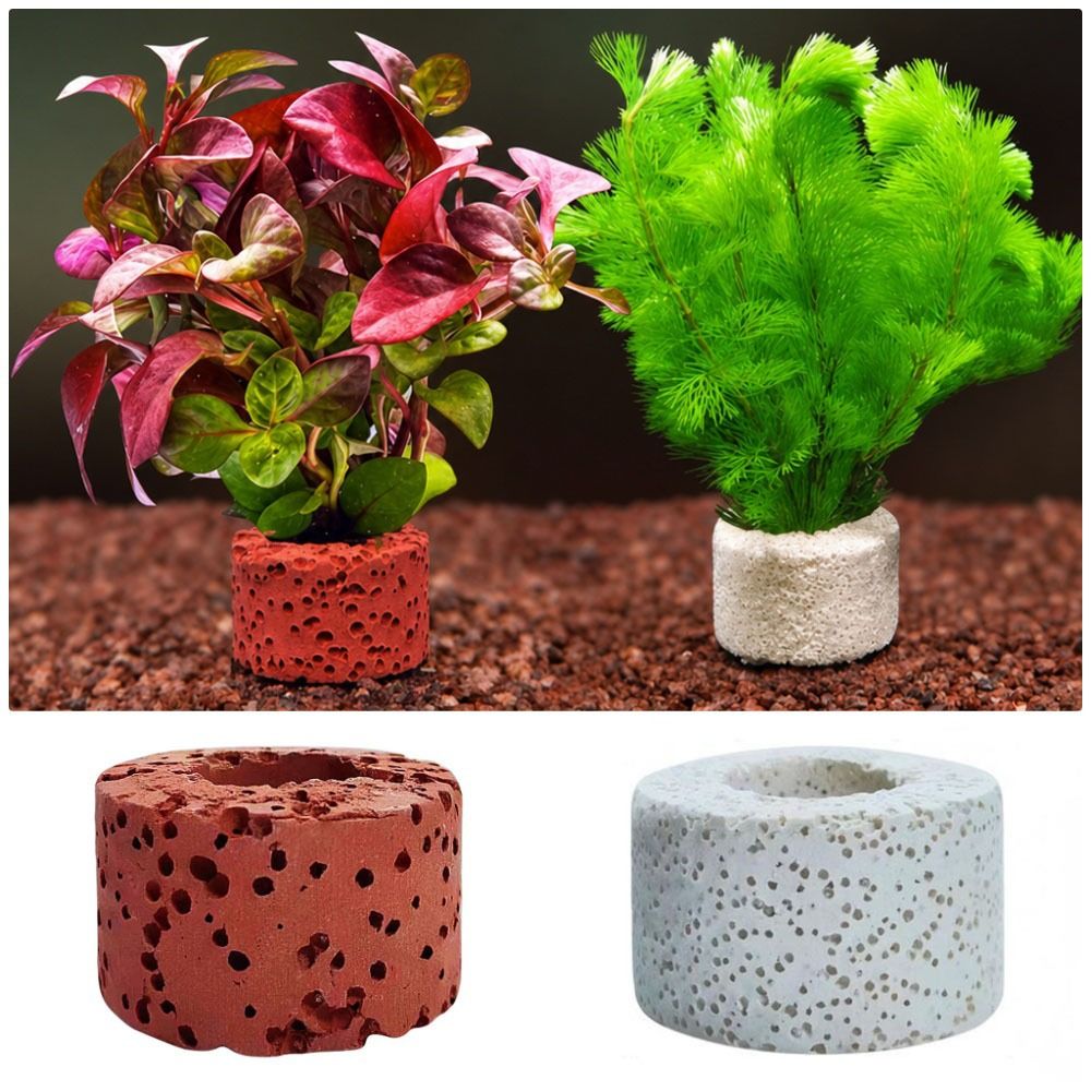 Planted Aquarium Pictures - 10 шт. утяжеленных колец для фиксации