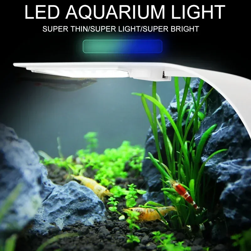 Ультратонкий светодиодный свет – обзор и цена Planted Aquarium Pictures