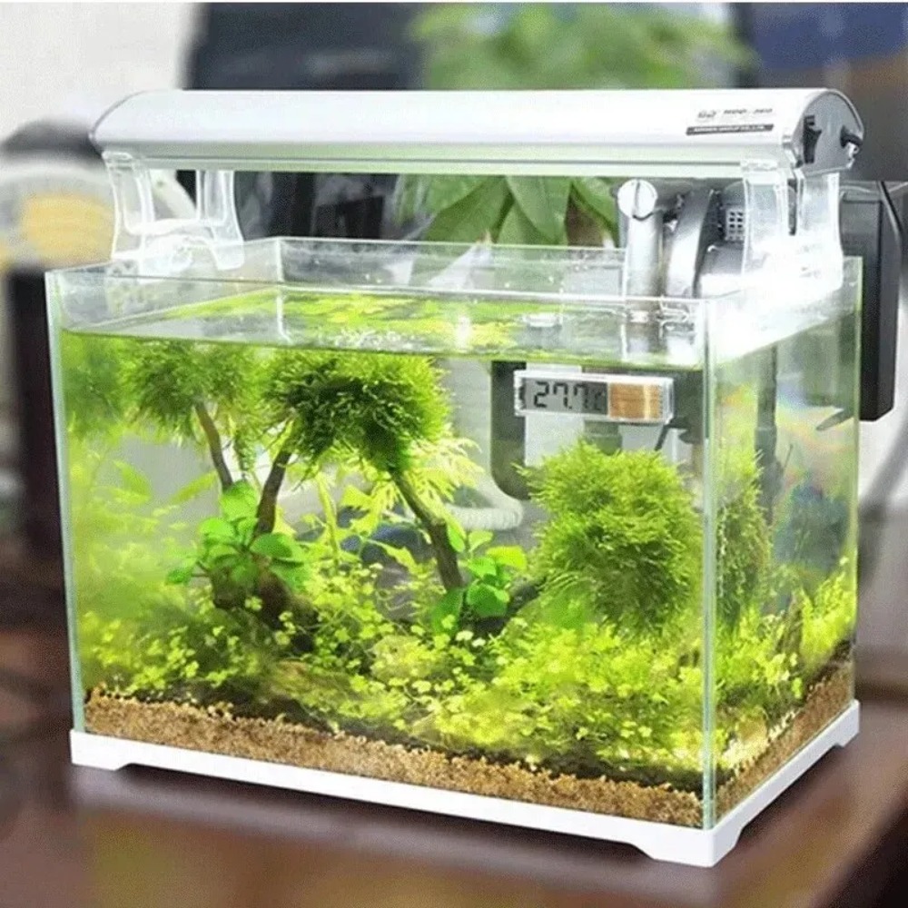 1 шт., аквариумный термометр,  – обзор и цена Planted Aquarium Temperature