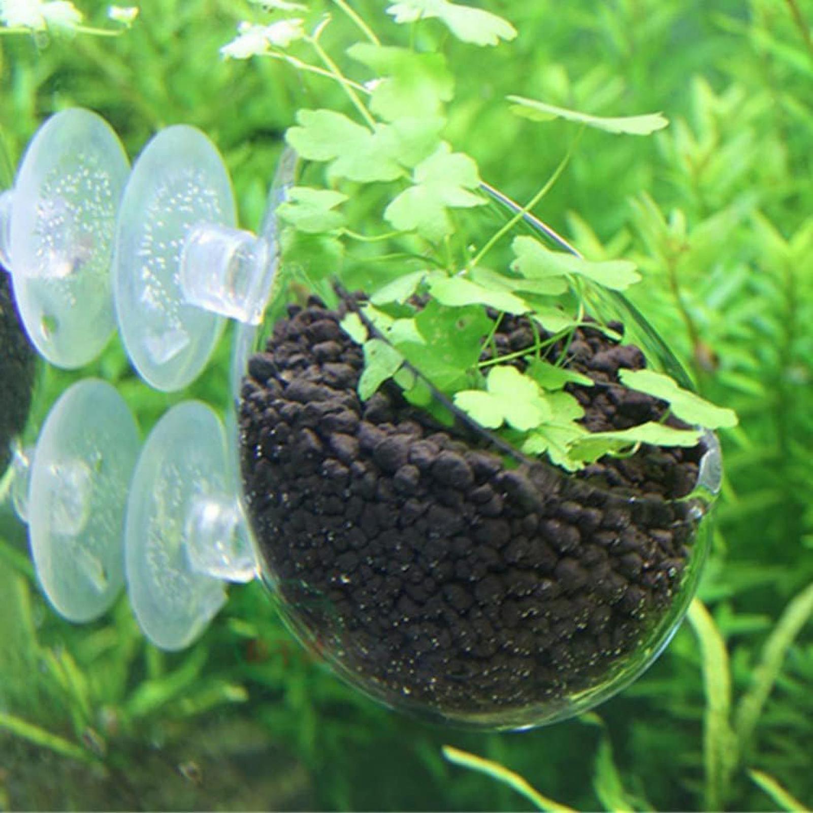 Держатель для аквариумных раст – обзор и цена Aquarium Plant Live