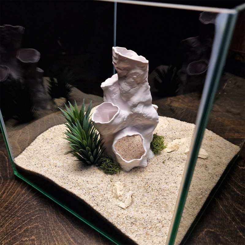 Горячая распродажа: 3D-печатны – обзор и цена Planted Aquarium Betta