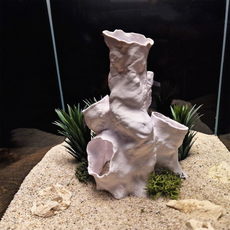 Горячая распродажа: 3D-печатны – обзор и цена Planted Aquarium Betta