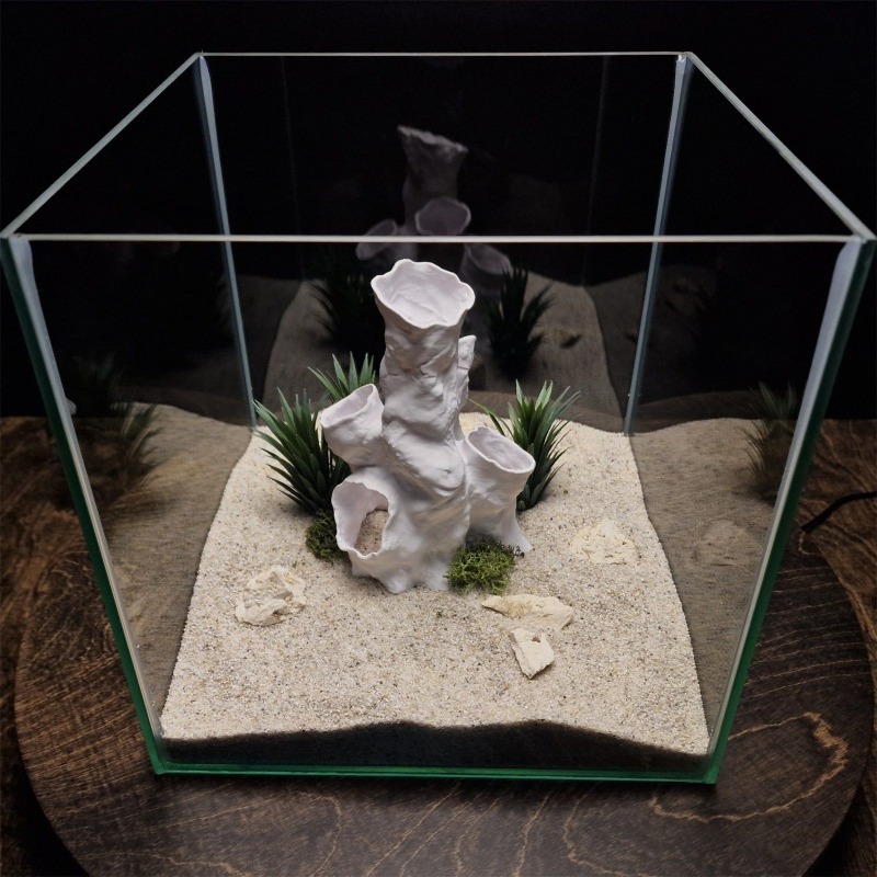 Горячая распродажа: 3D-печатны – обзор и цена Planted Aquarium Betta