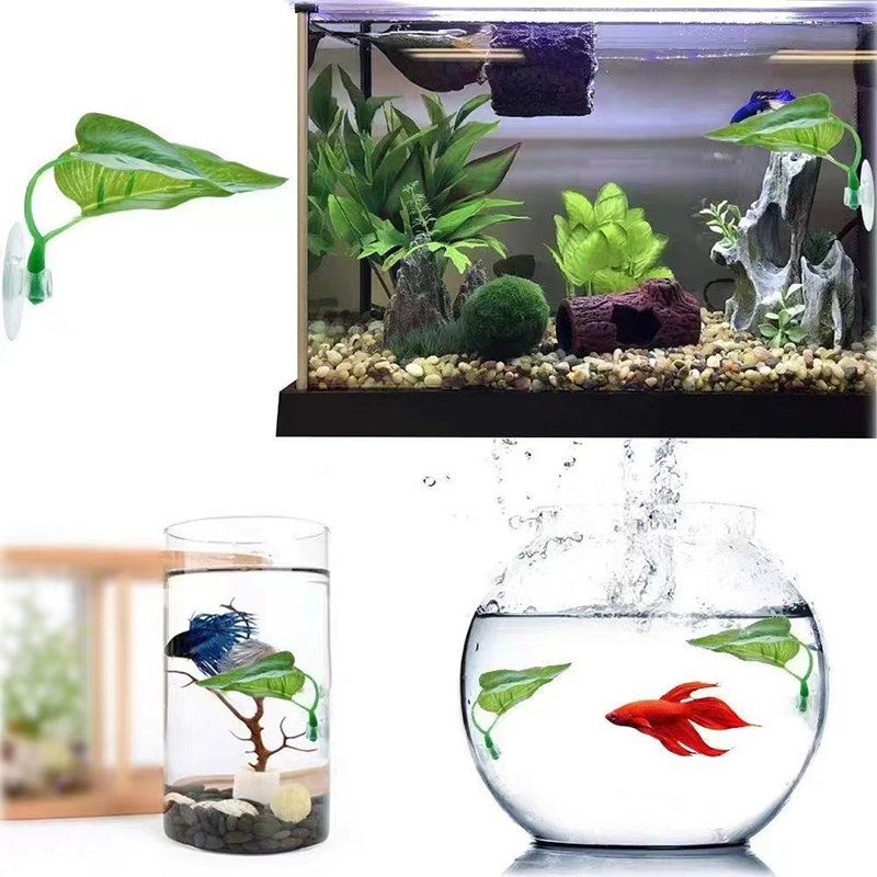 Искусственные водные растения  – обзор и цена Planted Aquarium Betta