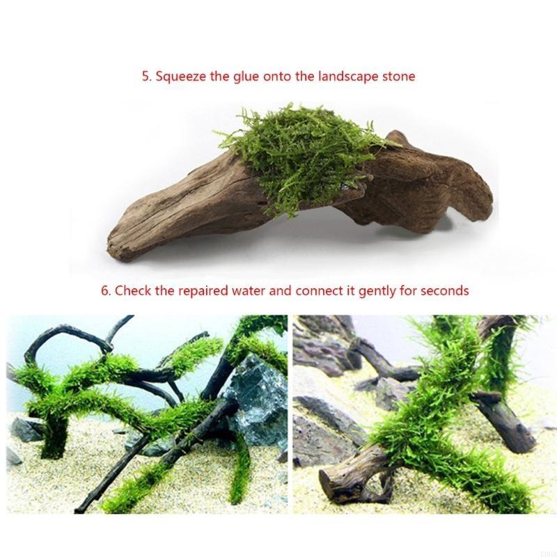 25 шт. аквариум для ландшафтно – обзор и цена Aquarium Plant Glue