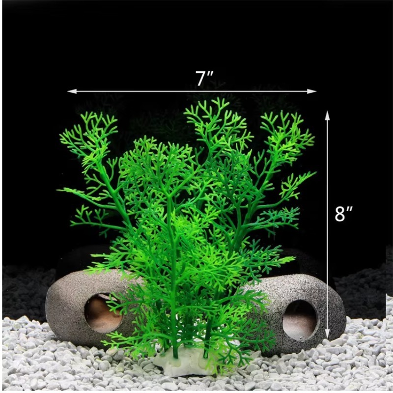 10 шт. Горячая новинка: пласти – обзор и цена Aquarium Plants For Sale