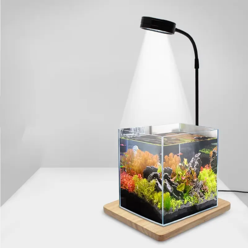 Светодиодная лампа полного спе – обзор и цена Planted Aquarium Betta
