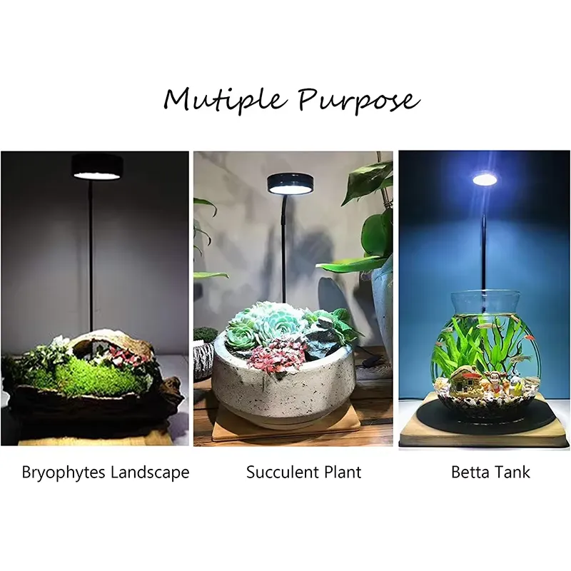 Светодиодная лампа полного спе – обзор и цена Planted Aquarium Betta