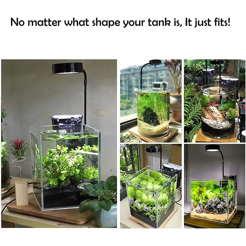 Светодиодная лампа полного спе – обзор и цена Planted Aquarium Betta