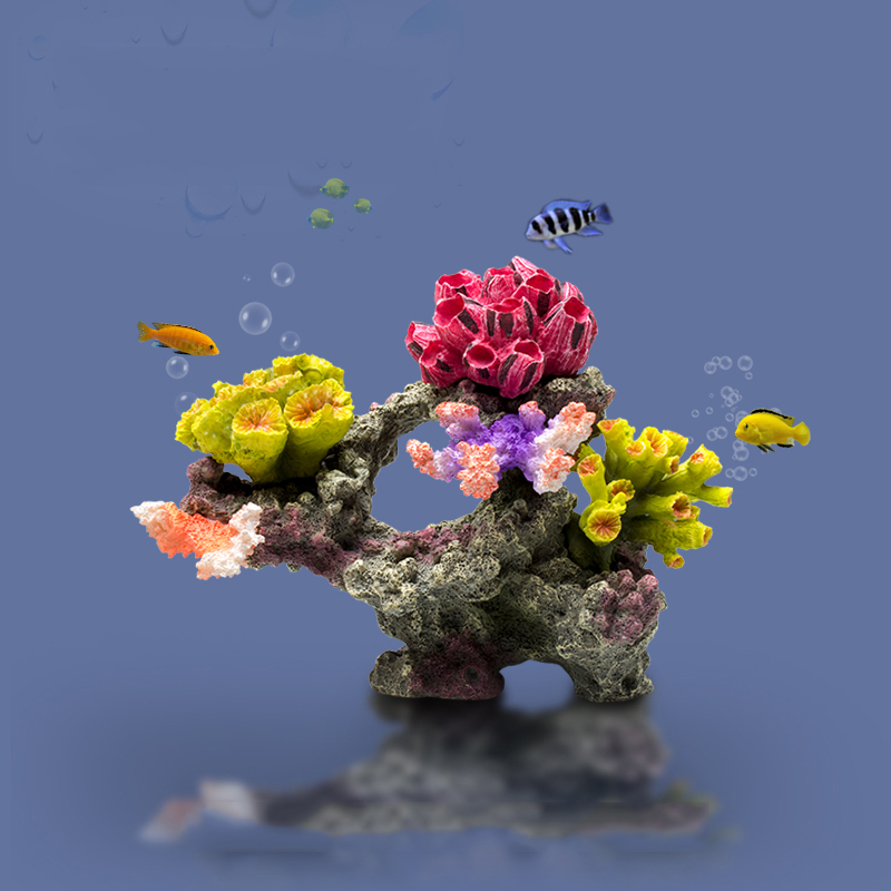 Украшения Betta Fishbowl, боль – обзор и цена Planted Aquarium Betta