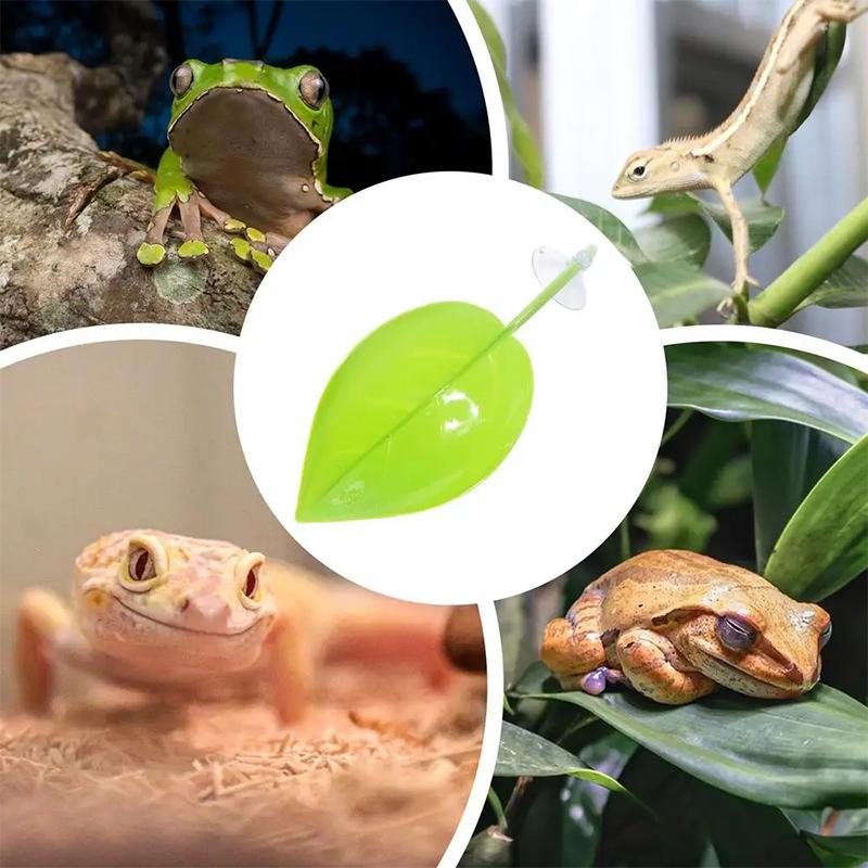 Аксессуары для аквариума: лист – обзор и цена Planted Aquarium Betta