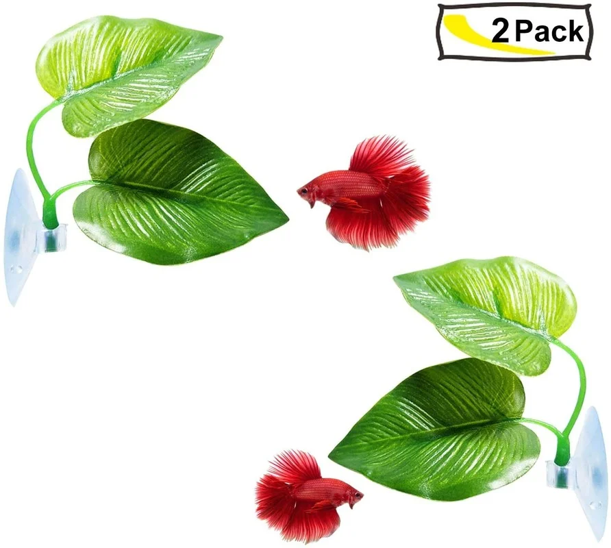Гамак из листьев рыбы Бетта, и – обзор и цена Planted Aquarium Betta