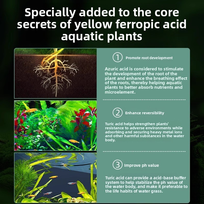 Добриво для аквариумных растен – обзор и цена Planted Aquarium Carpet Plant