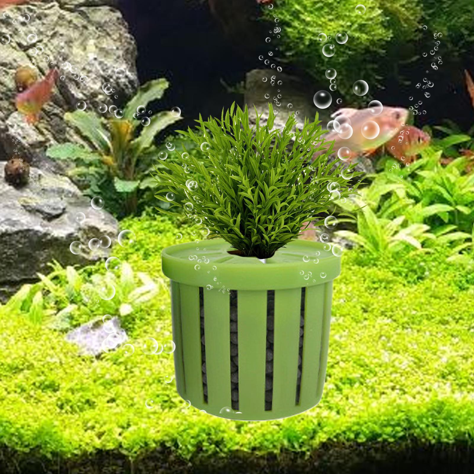 Набор из 4-х аквариумных горшк – обзор и цена Aquarium Plant Live