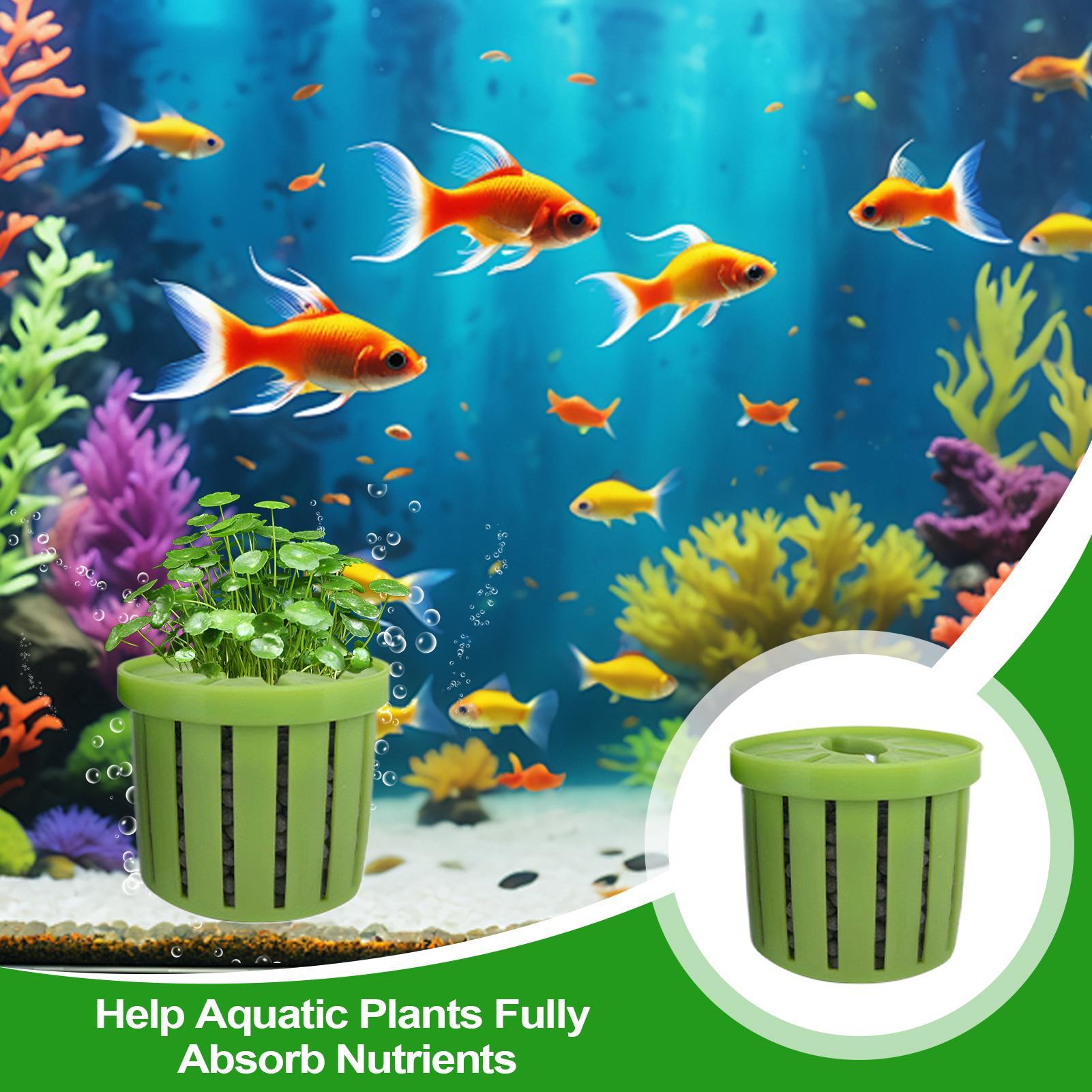 Набор из 4-х аквариумных горшк – обзор и цена Aquarium Plant Live