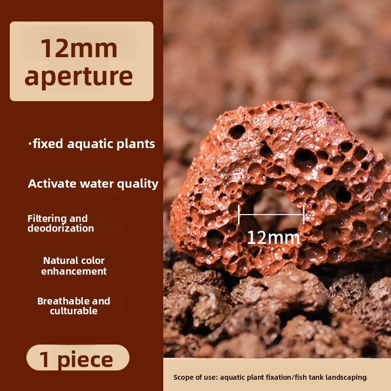 Кольцо для посадки растений из – обзор и цена Planted Aquarium Carpet Plant