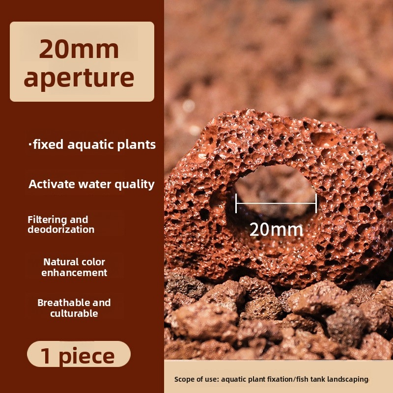 Кольцо для посадки растений из – обзор и цена Planted Aquarium Carpet Plant