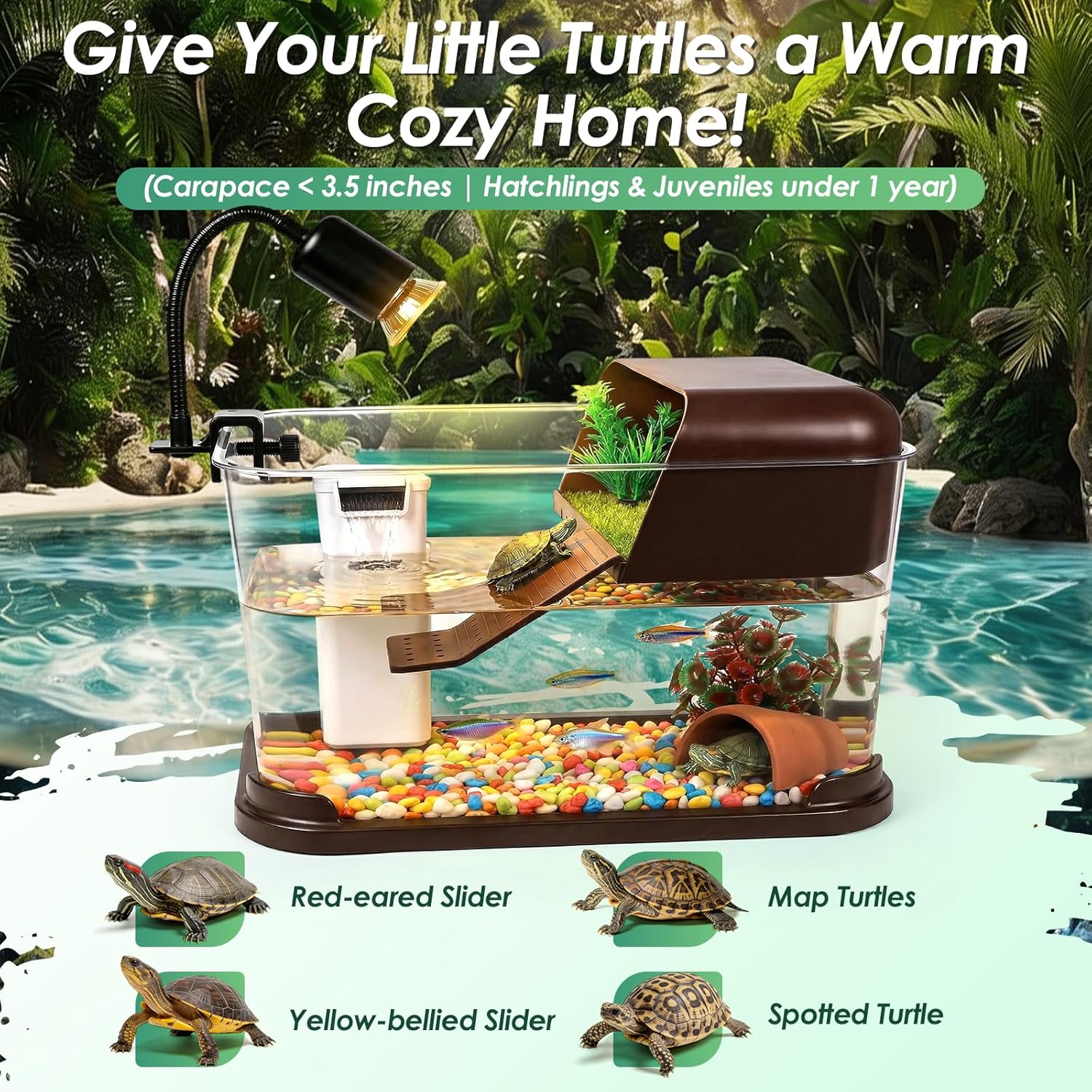 Стартовый набор для черепашьег – обзор и цена Planted Aquarium Starter Kit