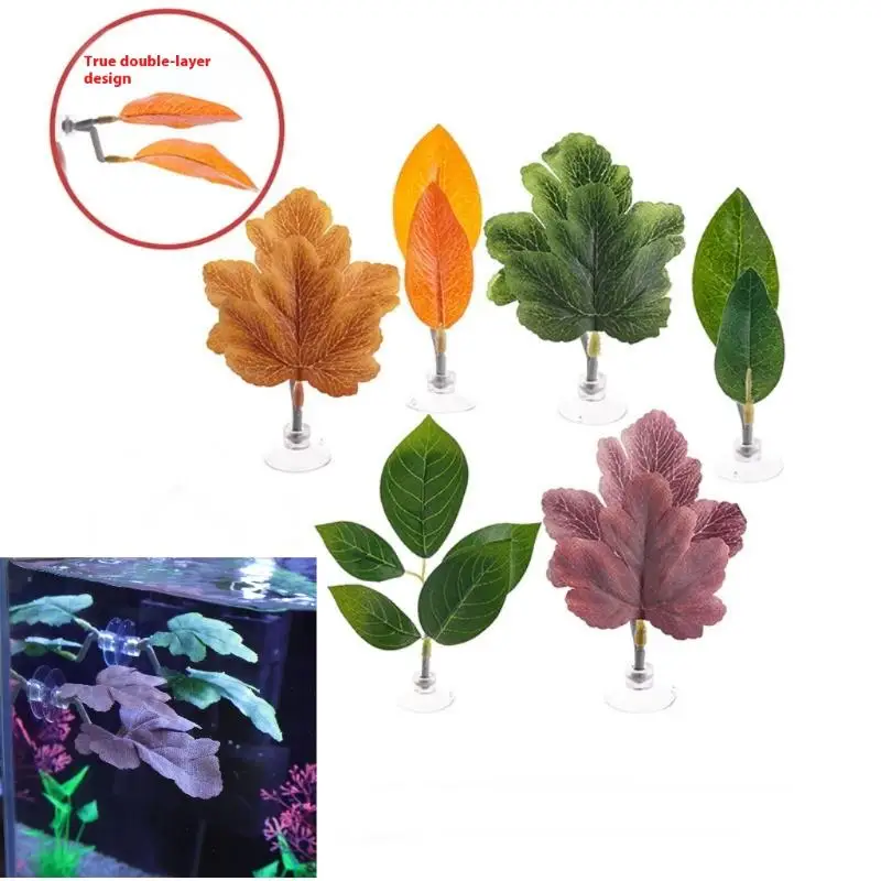 Гамак из листьев рыбы Betta, д – обзор и цена Planted Aquarium Betta