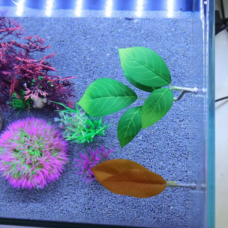 Гамак из листьев рыбы Betta, д – обзор и цена Planted Aquarium Betta