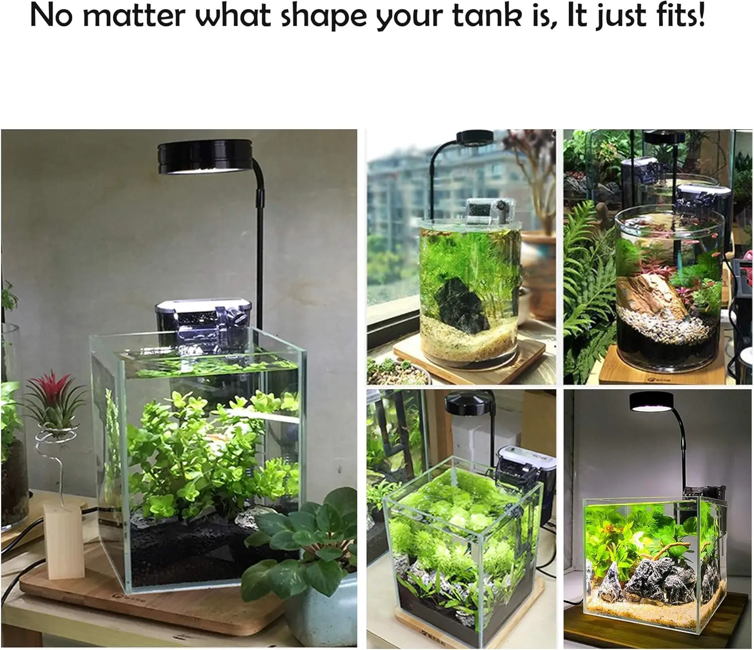 Светодиодный светильник для вы – обзор и цена Planted Aquarium Betta