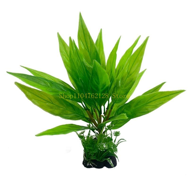 Аквариумные водные растения, п – обзор и цена Aquarium Plants For Sale