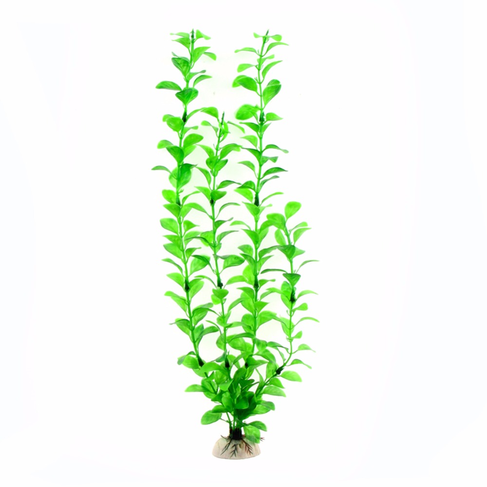 Орнамент, аксессуары для аквар – обзор и цена Aquarium Plant Live