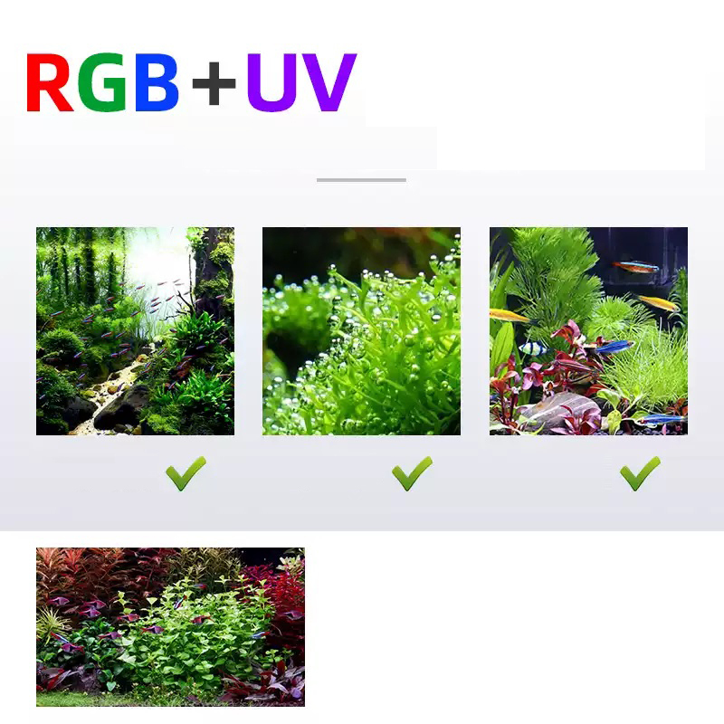 Светодиодное освещение 60 см 8 – обзор и цена Aquarium Plants For Sale