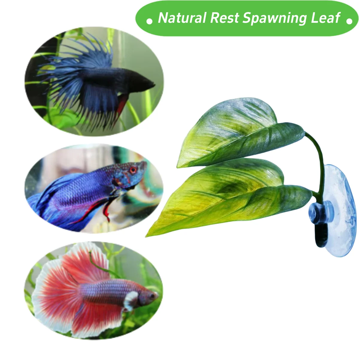 Декор для аквариума для домашн – обзор и цена Planted Aquarium Betta