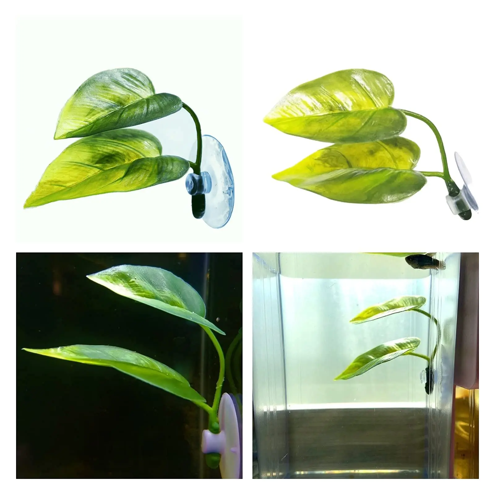 Декор для аквариума для домашн – обзор и цена Planted Aquarium Betta