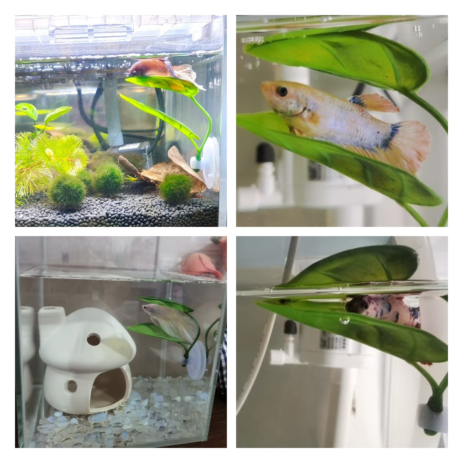Декор для аквариума для домашн – обзор и цена Planted Aquarium Betta