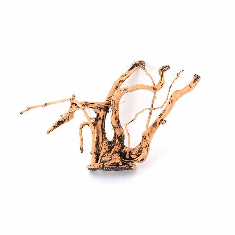 Оптовая продажа: Натуральные д – обзор и цена Aquarium Plants For Sale