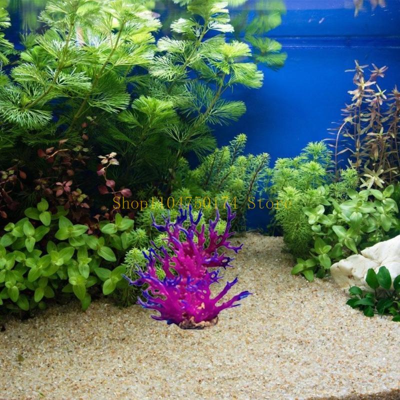 Искусственное дерево, декорати – обзор и цена Aquarium Plants For Sale