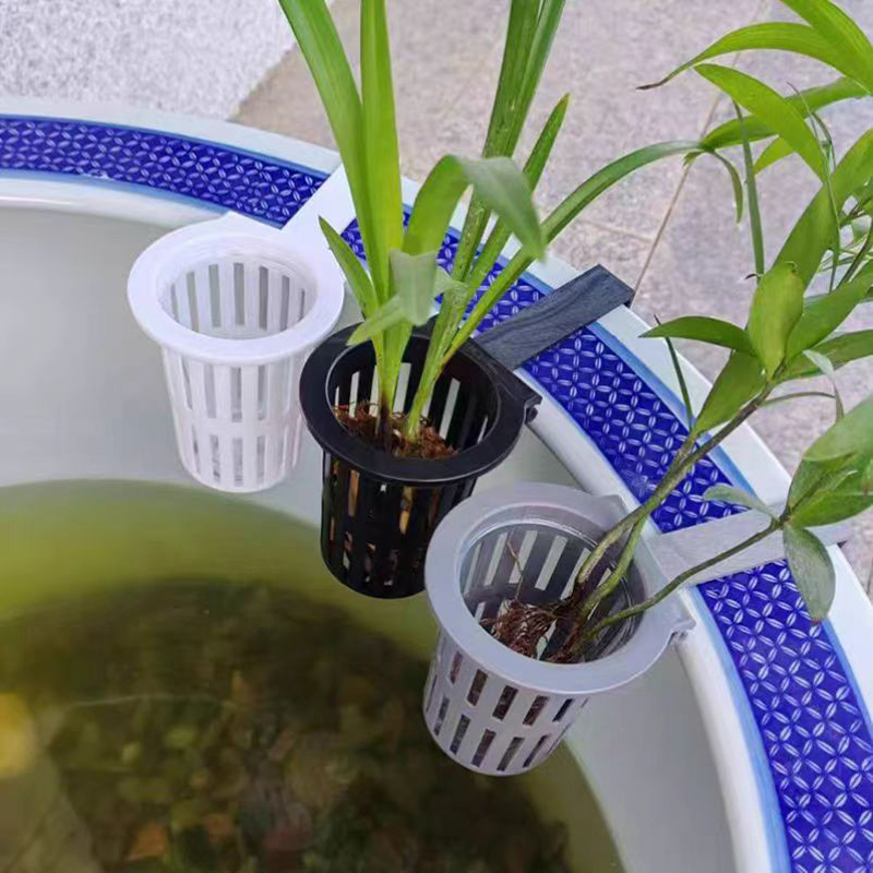 1/3 шт. корзина для аквариумны – обзор и цена Aquarium Plant Live