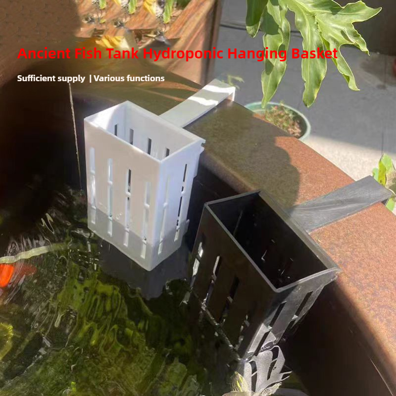 1/3 шт. корзина для аквариумны – обзор и цена Aquarium Plant Live