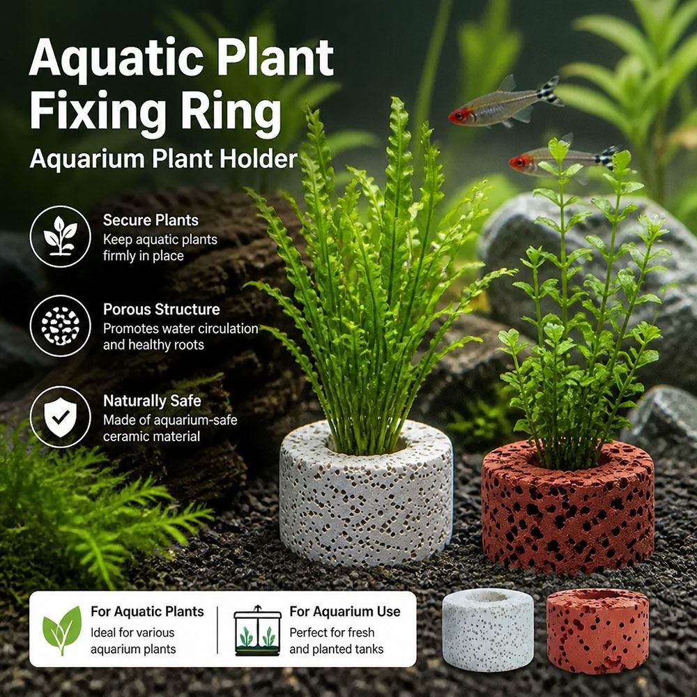 10 шт. утяжеленных колец для ф – обзор и цена Planted Aquarium Pictures