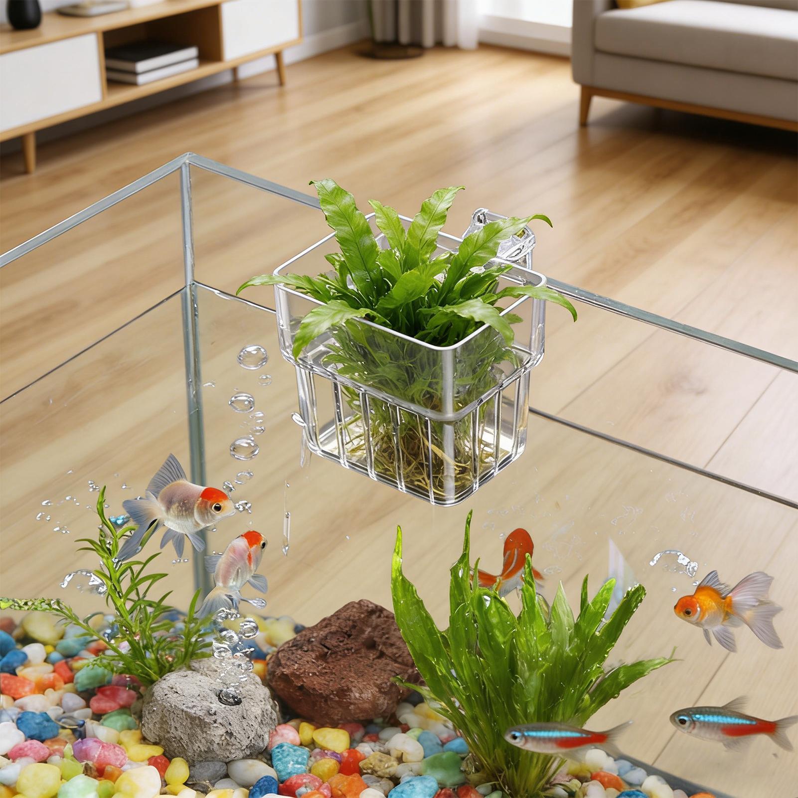Прозрачный подвесной горшок дл – обзор и цена Aquarium Plant Live