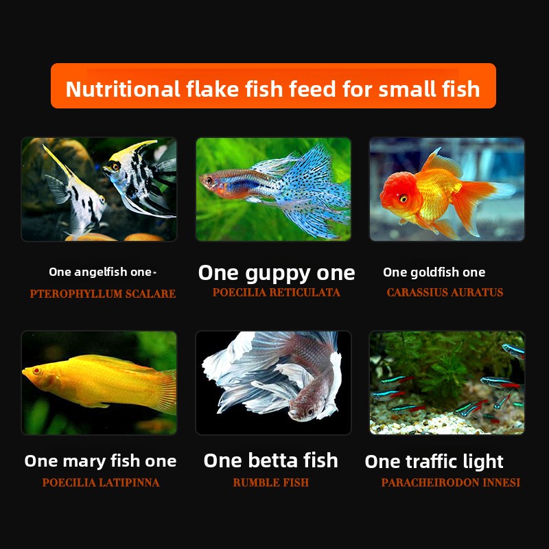 DaJiaWa Корм для рыб в виде хл – обзор и цена Tetra Food Betta Flakes