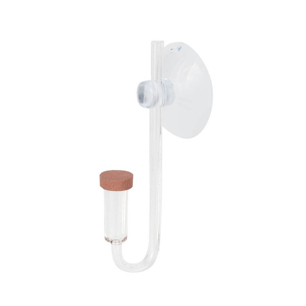 Акриловый мини-аквариум живое  – обзор и цена Aquarium Plant Live