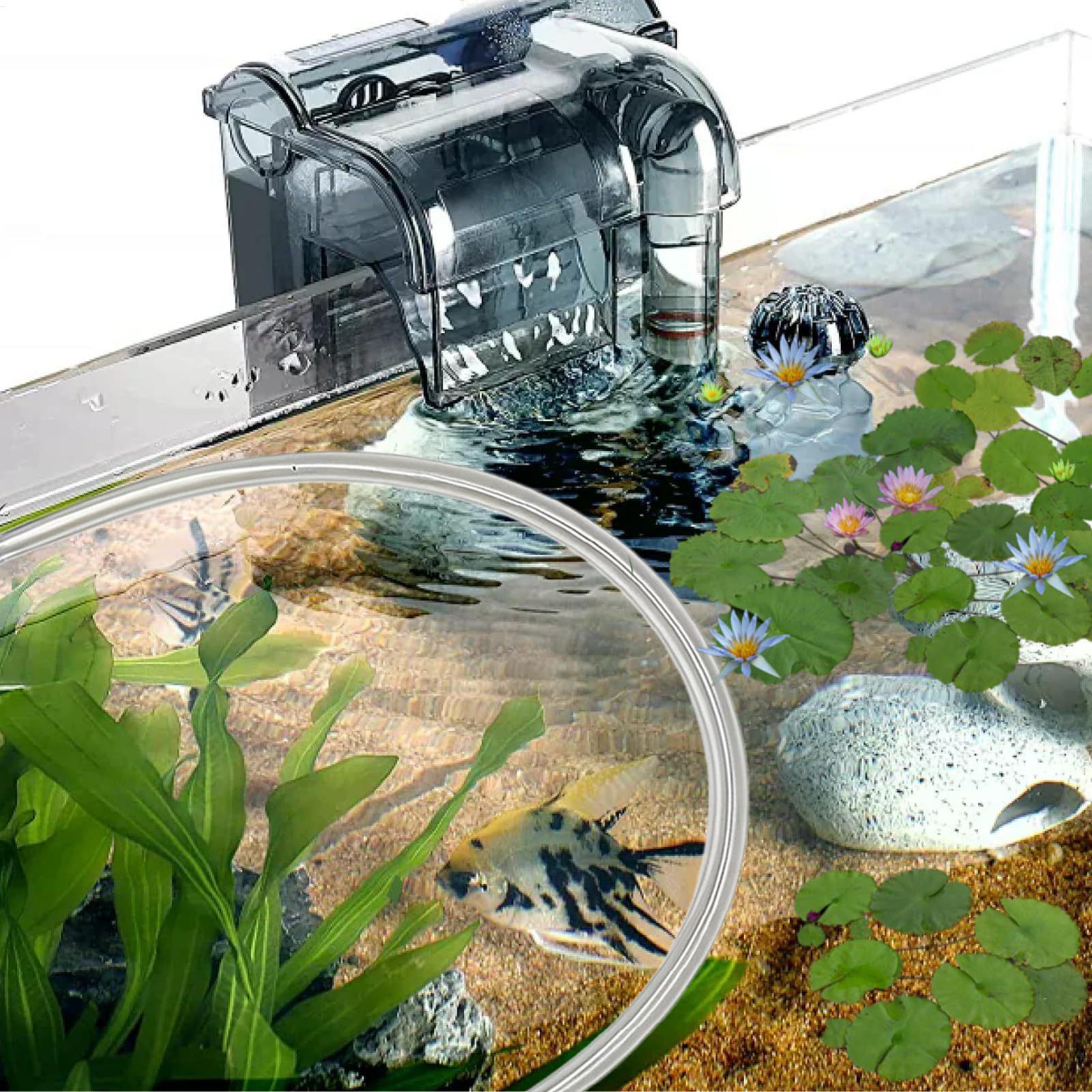 Автоматически регулируемый по  – обзор и цена Planted Aquarium Betta