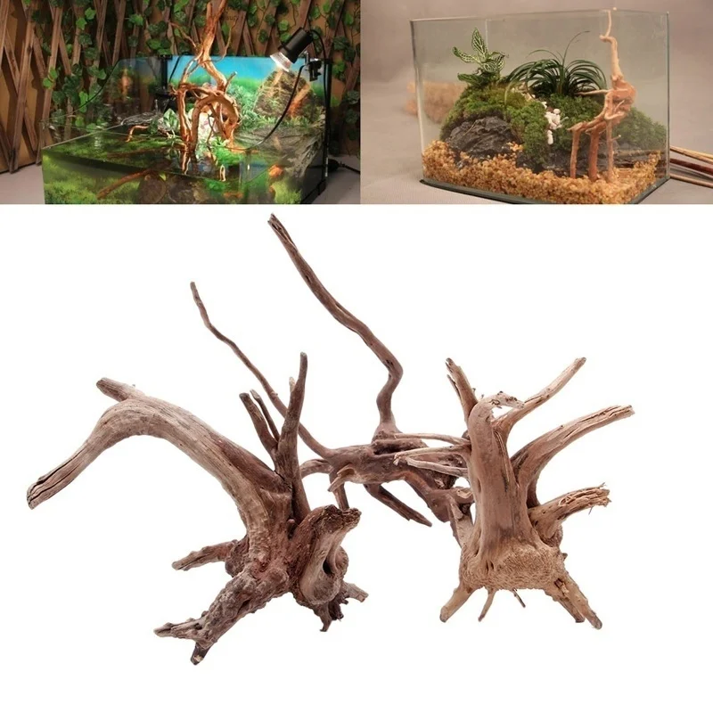 Натуральный ствол дерева, коря – обзор и цена Planted Aquarium Making