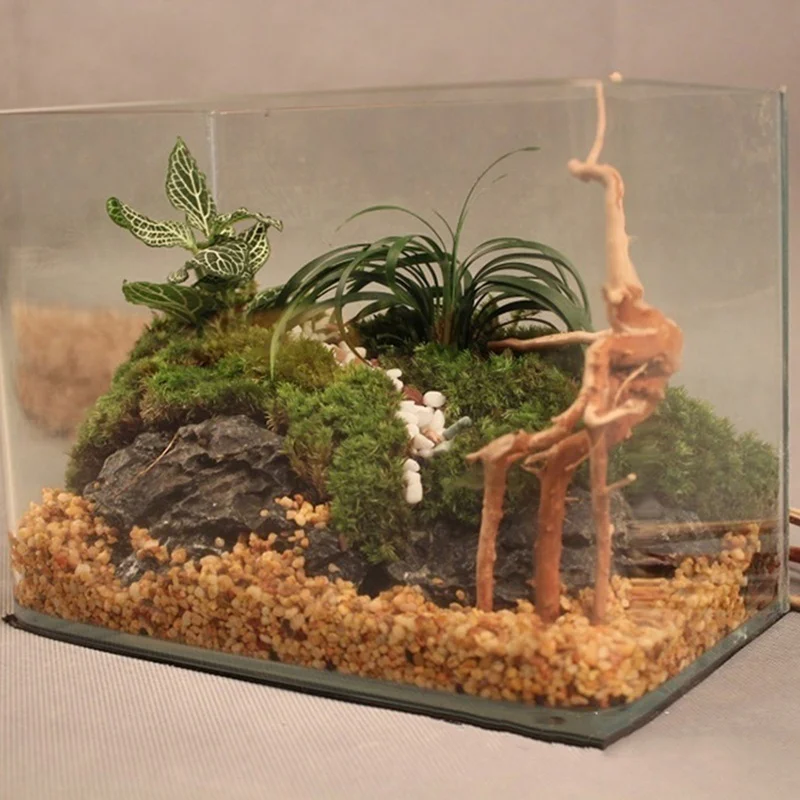 Натуральный ствол дерева, коря – обзор и цена Planted Aquarium Making