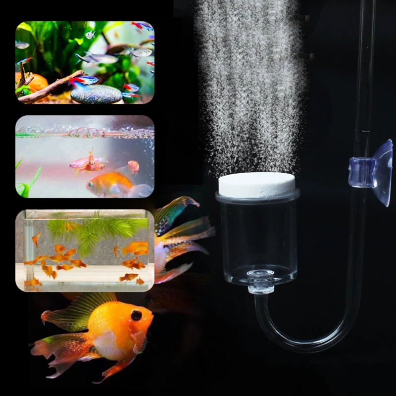 4 шт./набор, соленоидный регул – обзор и цена Aquarium Plant Live